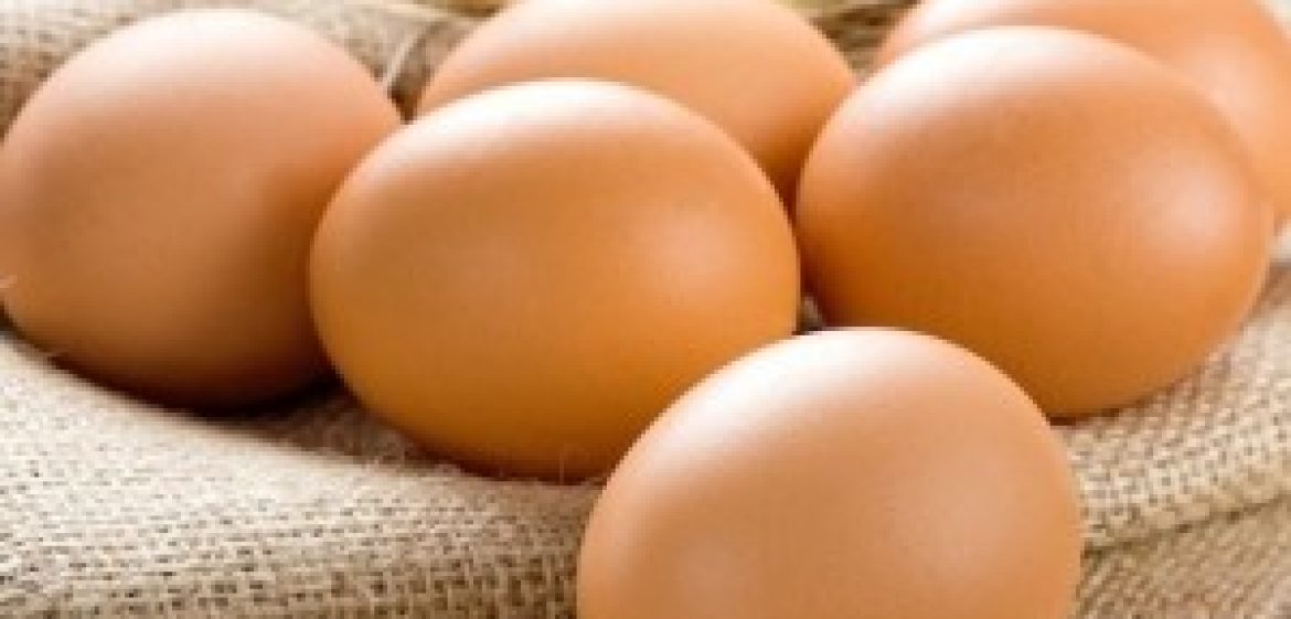 Le uova non aumentano il colesterolo
