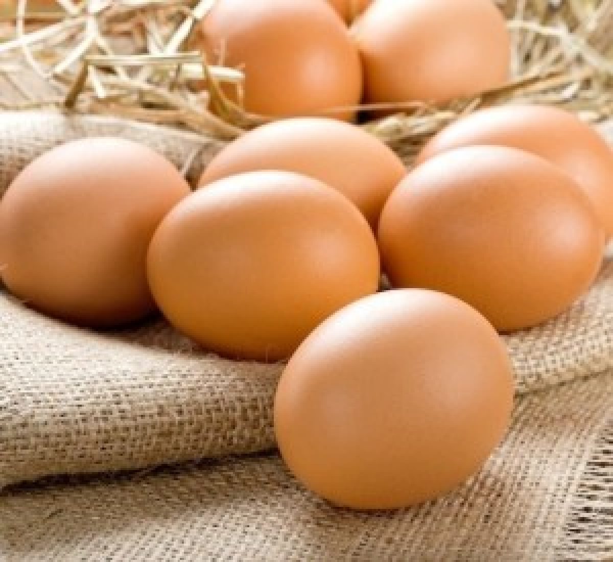 Le uova non aumentano il colesterolo